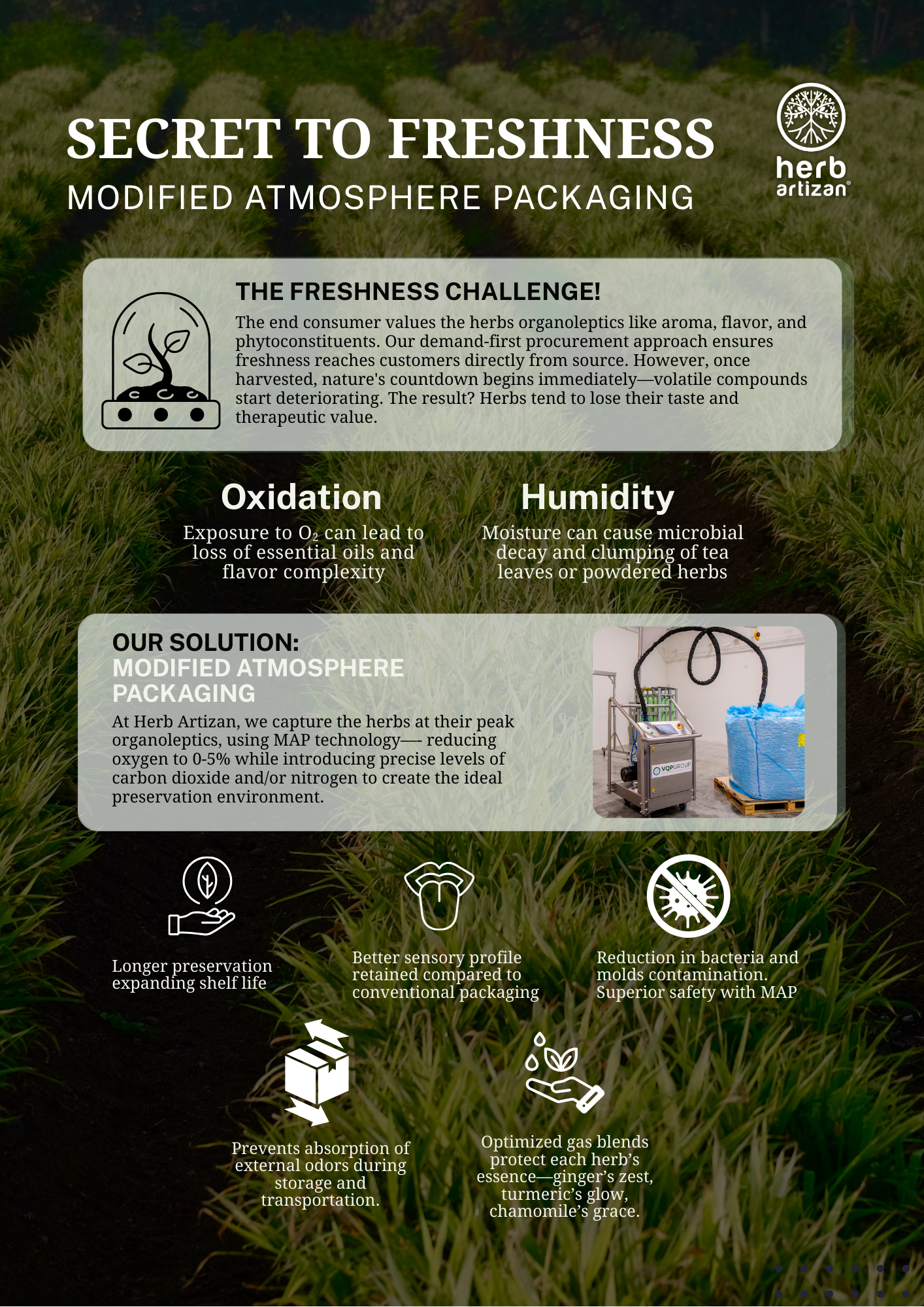 Herb Artizan freshness poster with MAP technology, showing oxidation and humidity challenges, and a machine preserving herbs with reduced oxygen levels.