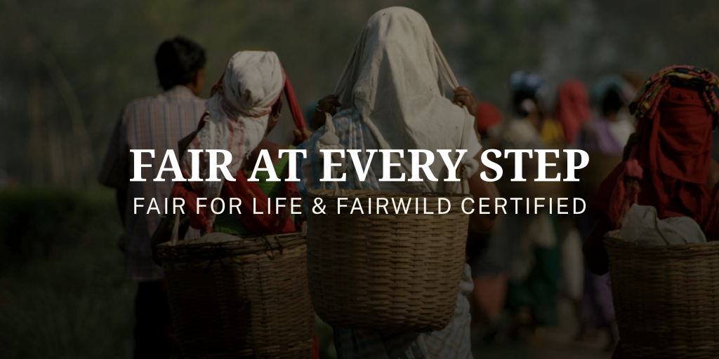 Fairness From Field to Finish