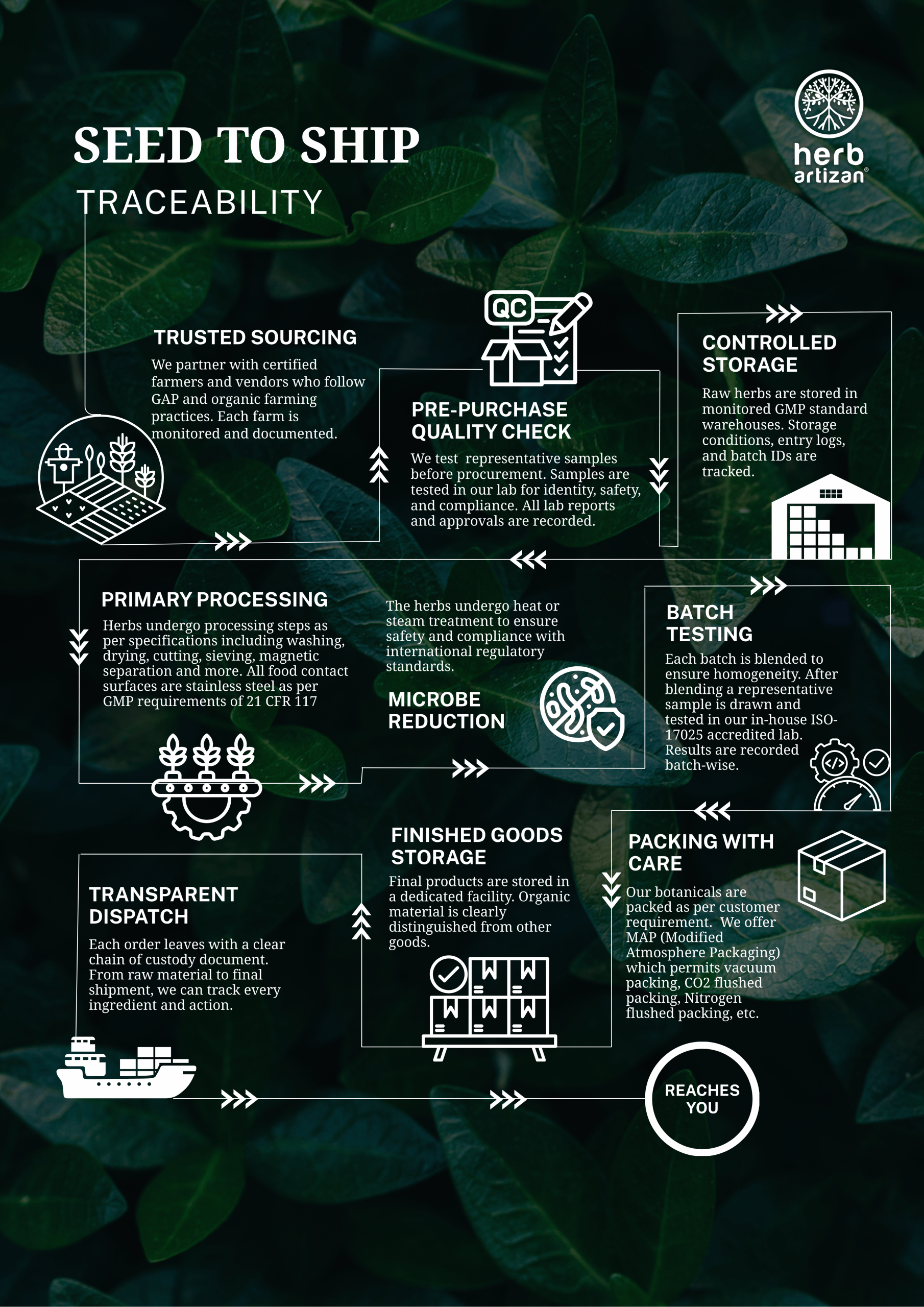 Herb Artizan seed-to-ship traceability diagram showing trusted sourcing, pre-purchase QC, primary processing, batch testing, and packing with care in a green layout.