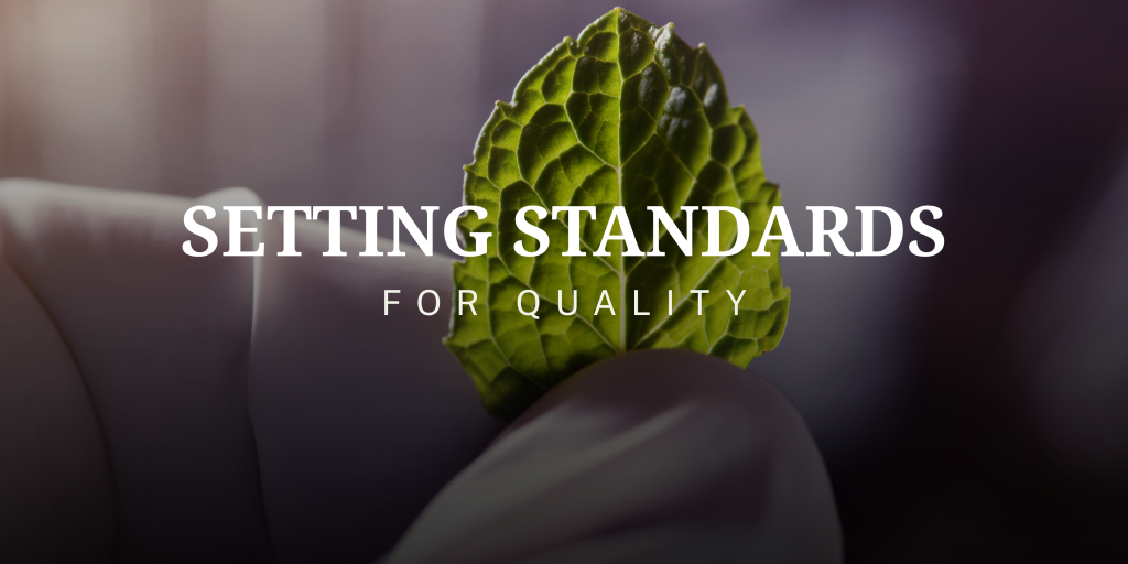 Setting standards for quality