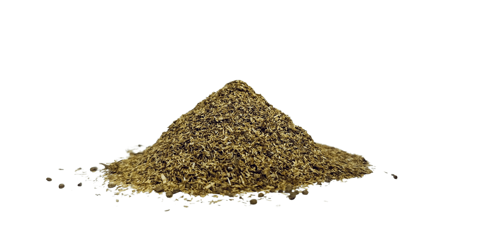 Chamomile flowers close-up – natural skincare and aromatherapy bloom