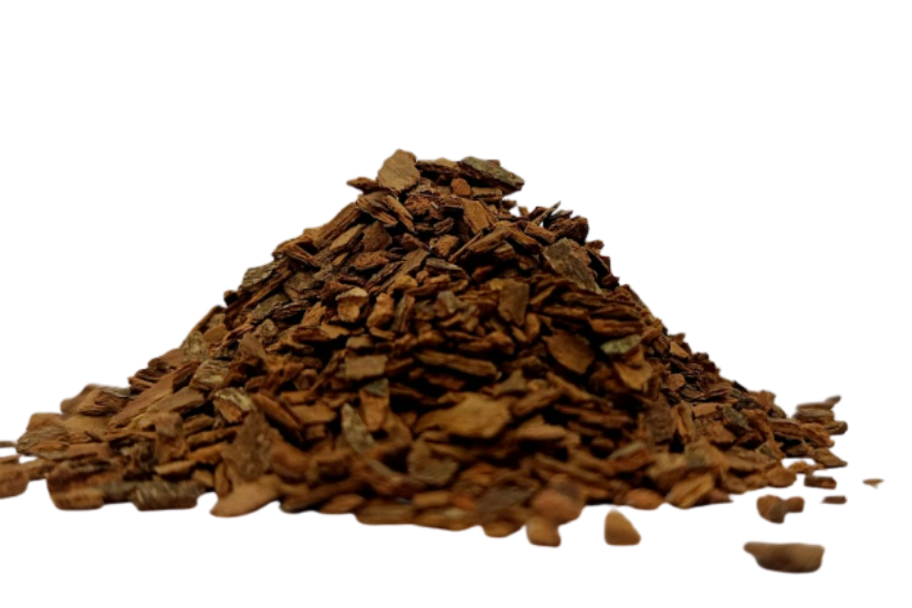 Coarse-cut Ceylon cinnamon bark pieces (Cinnamomum verum) on white background