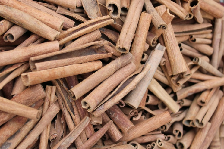 Rolled Ceylon true cinnamon quills (Cinnamomum verum) on white background