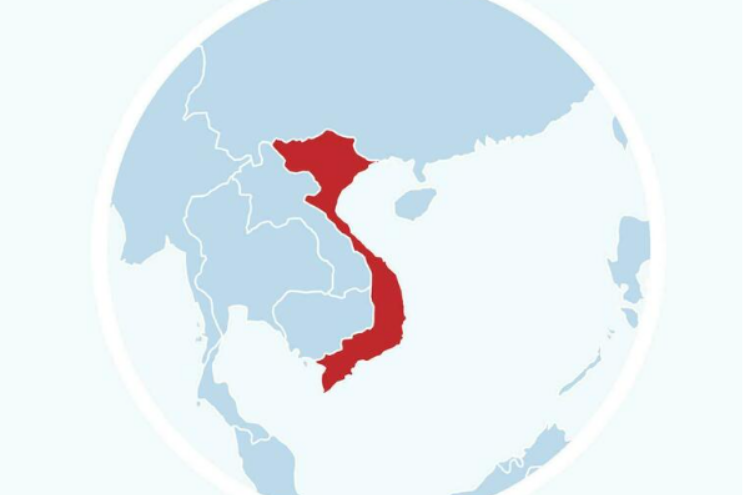 Cinnamon from Vietnam