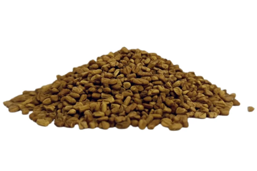 Trigonella foenum-graecum – Ayurvedic methi