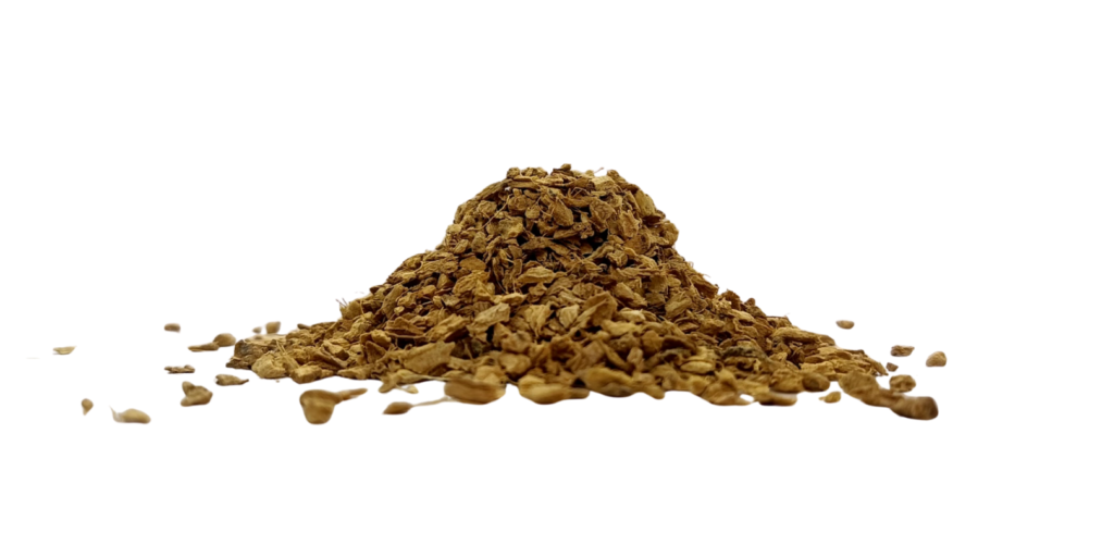 Coarse-cut dried ginger root (Zingiber officinale) pieces on white background