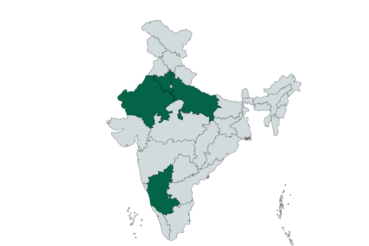 Fresh Lemongrass Stalks – Essential Asian Cooking Herb