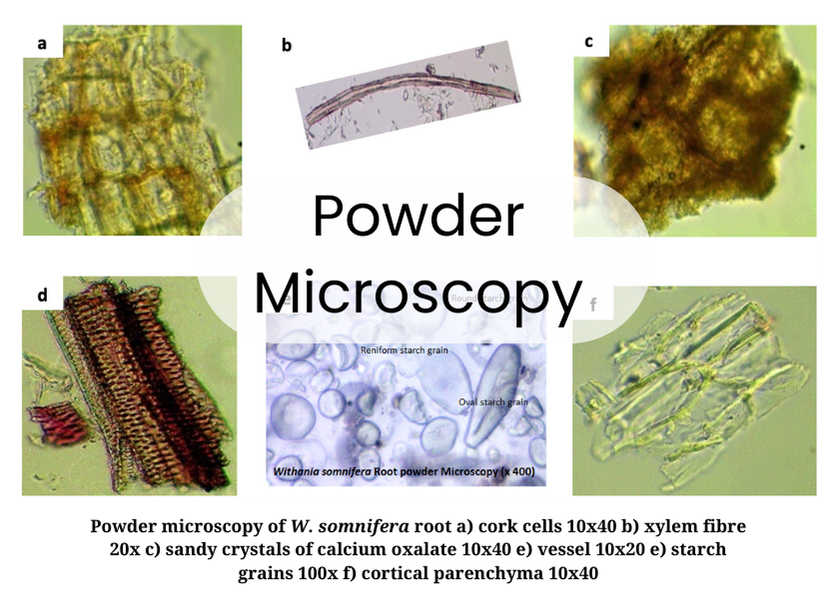 Powder Microscopy