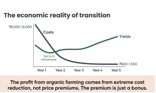 The economic reality of transitioning to regenerative farming: costs decrease sharply while yields recover and rise by year 5. Profit comes from extreme cost reduction rather than price premiums.