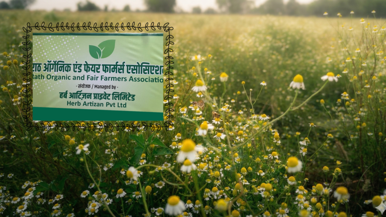 Chamomile field with the farmer group's sign
