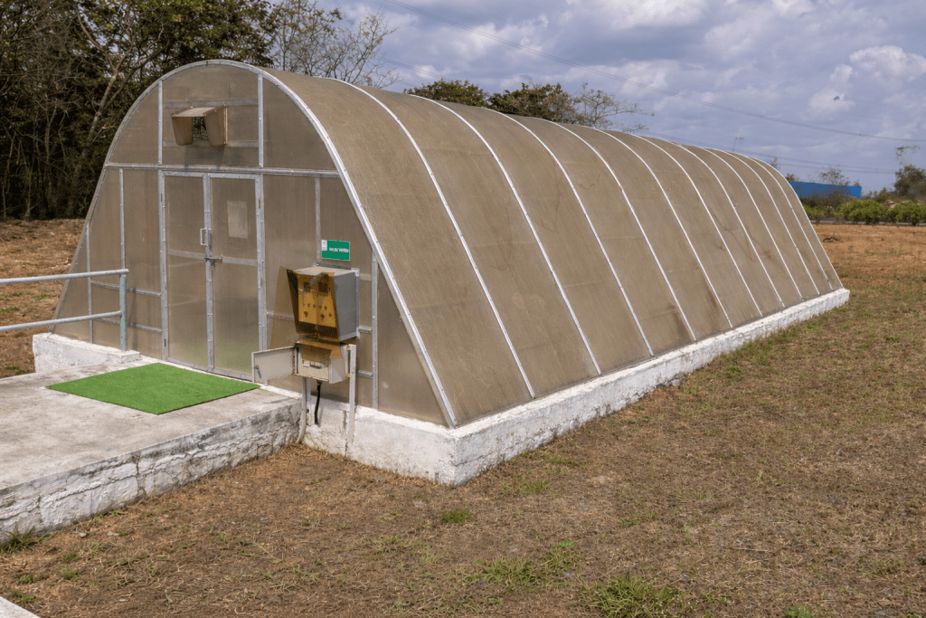 Greenhouse or polytunnel structure with ventilation fan for controlled herb drying