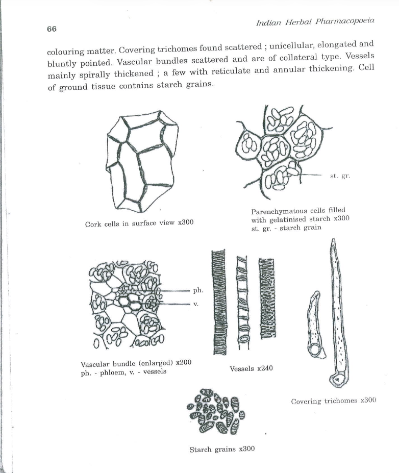 A page from the Indian Herbal Pharmacopoeia with microscope drawings of cork cells, starch grains, vessels and trichomes