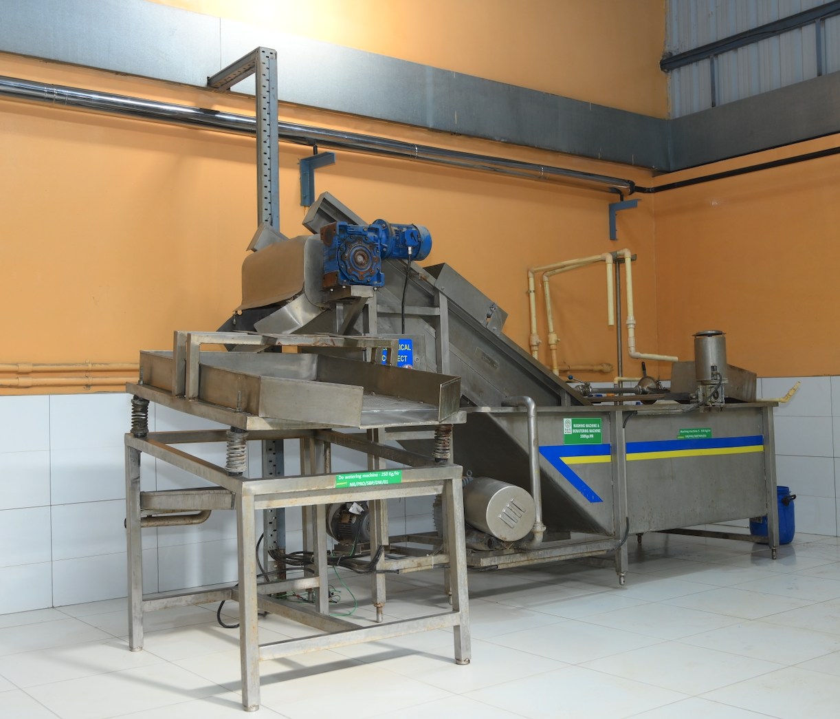 Stainless steel herb washing machine with an inclined conveyor and spray tank in a processing room